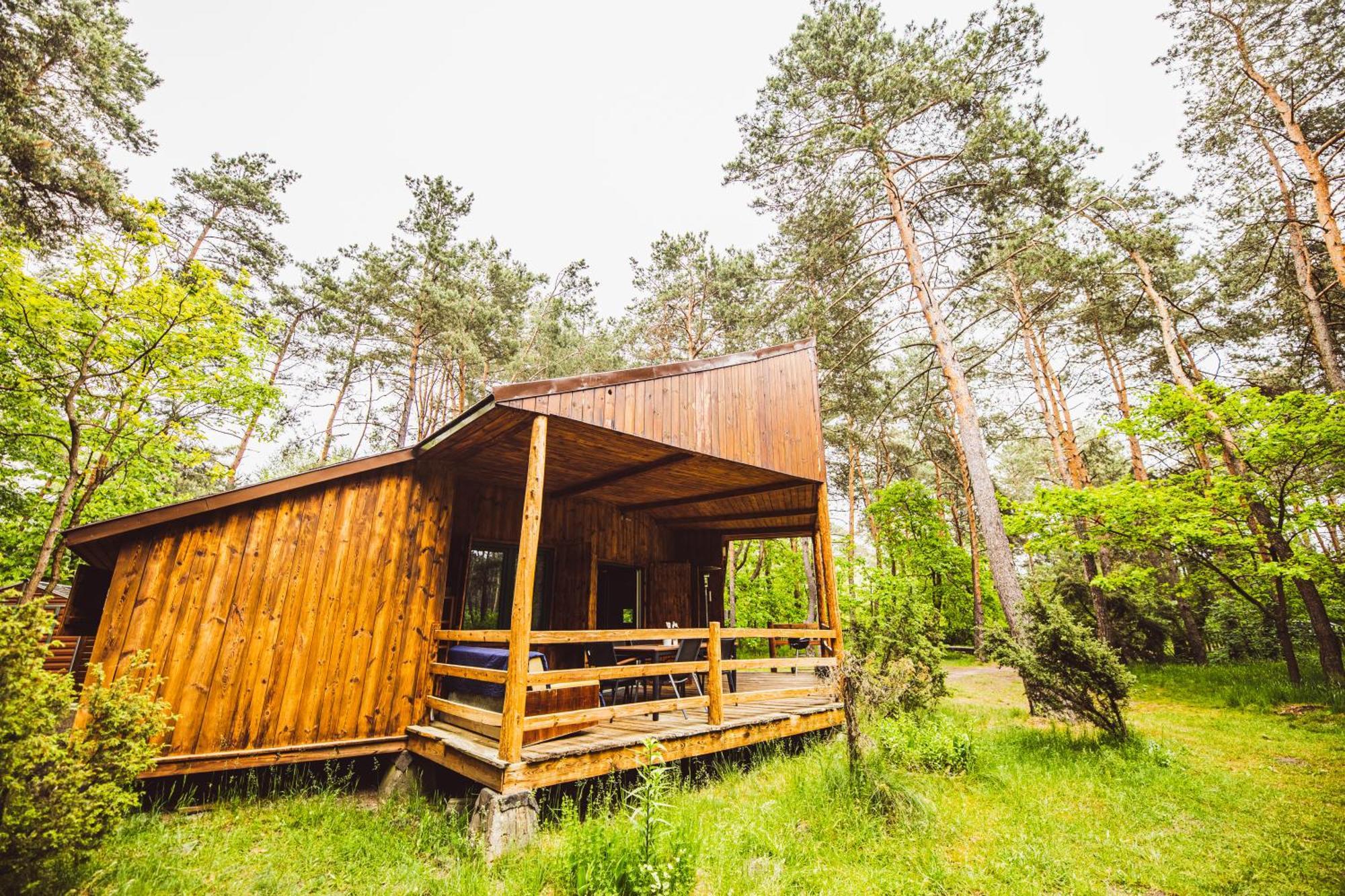 Cozy Nature Retreat With Patio Fireplace Garden Maciejowice Exterior foto