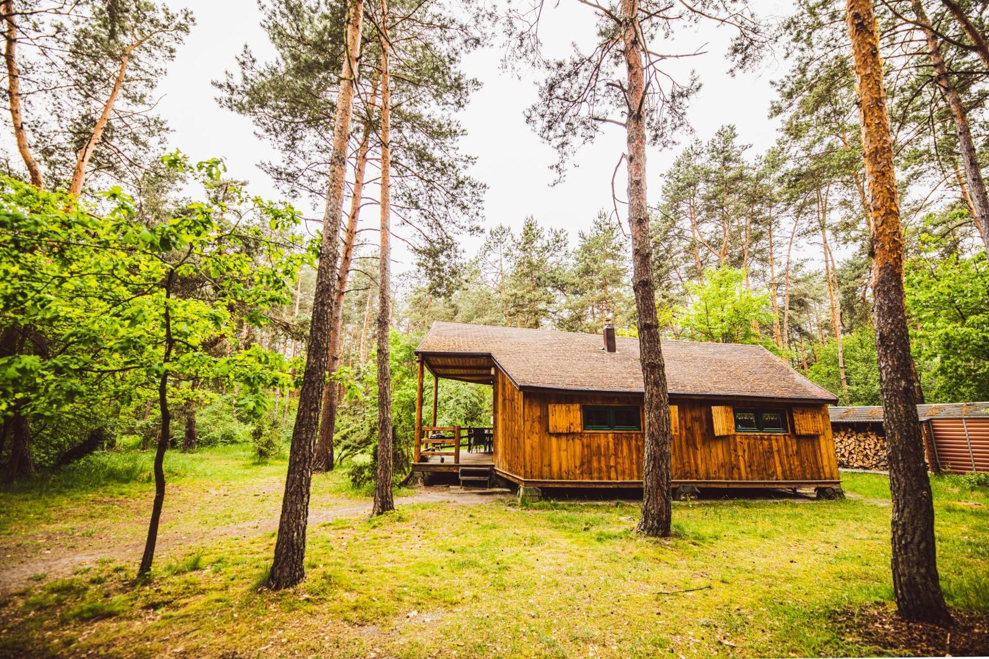Cozy Nature Retreat With Patio Fireplace Garden Maciejowice Exterior foto