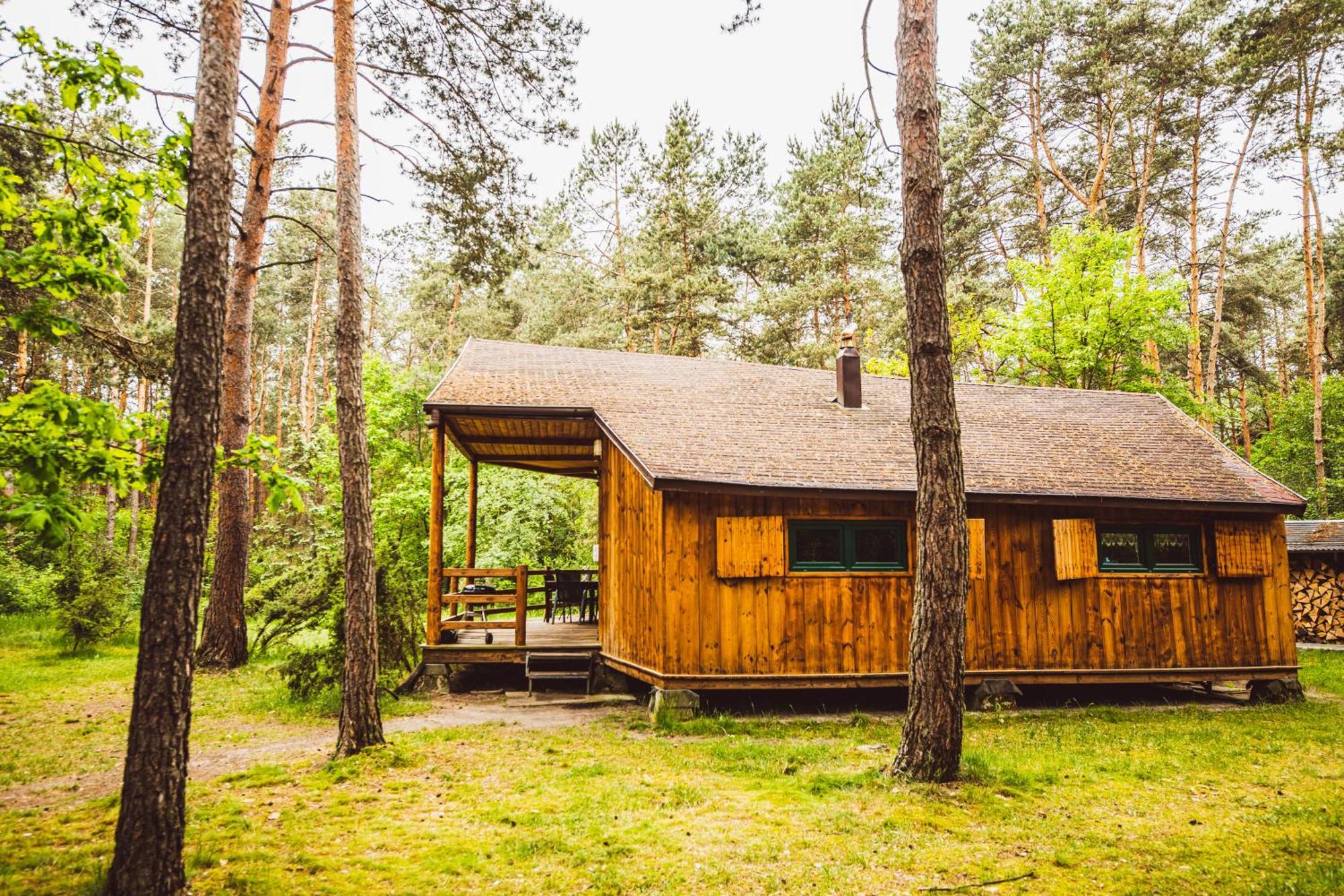 Cozy Nature Retreat With Patio Fireplace Garden Maciejowice Exterior foto