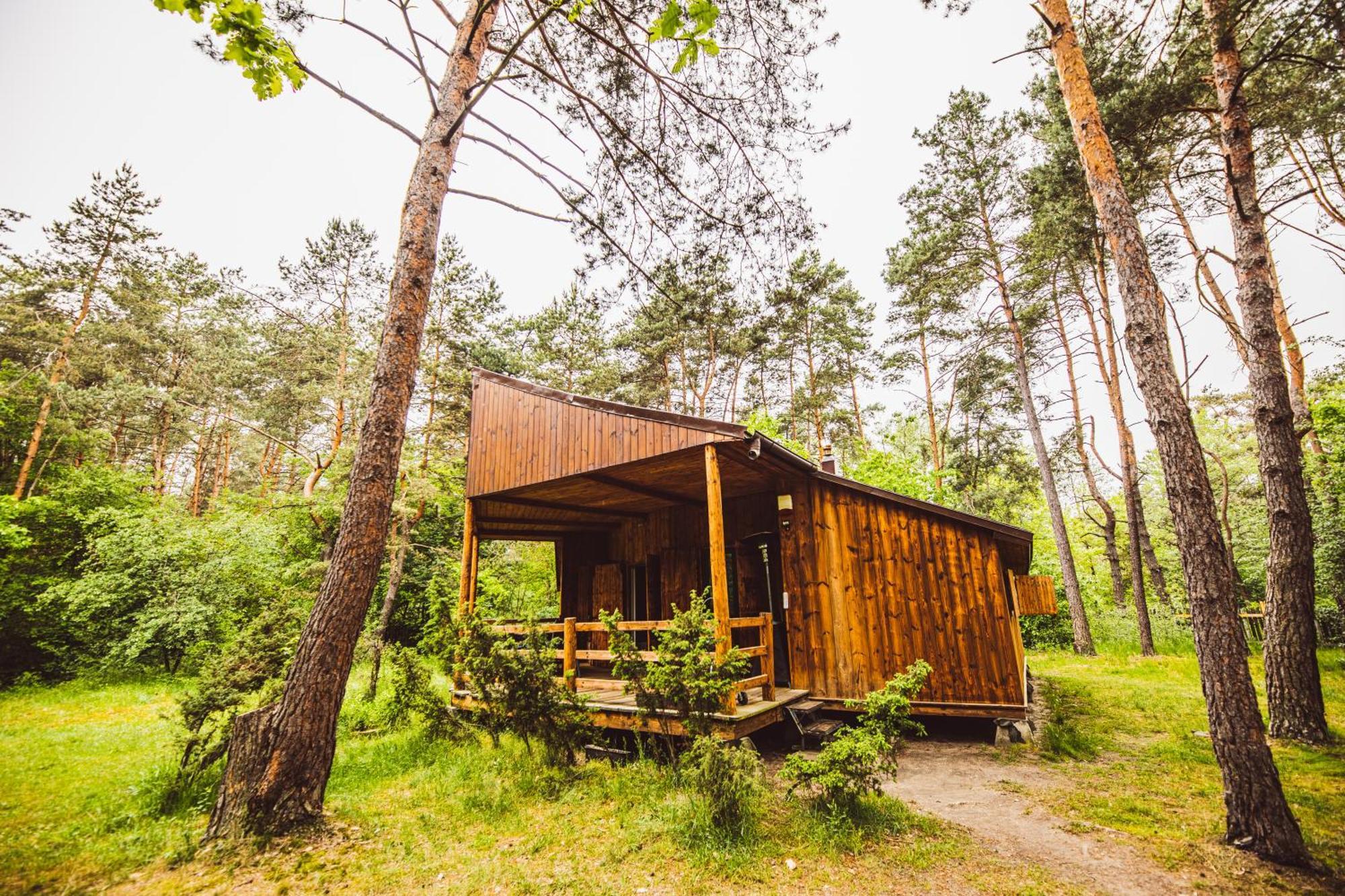 Cozy Nature Retreat With Patio Fireplace Garden Maciejowice Exterior foto